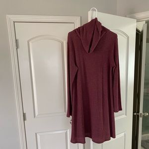 Turtle neck sweater dress